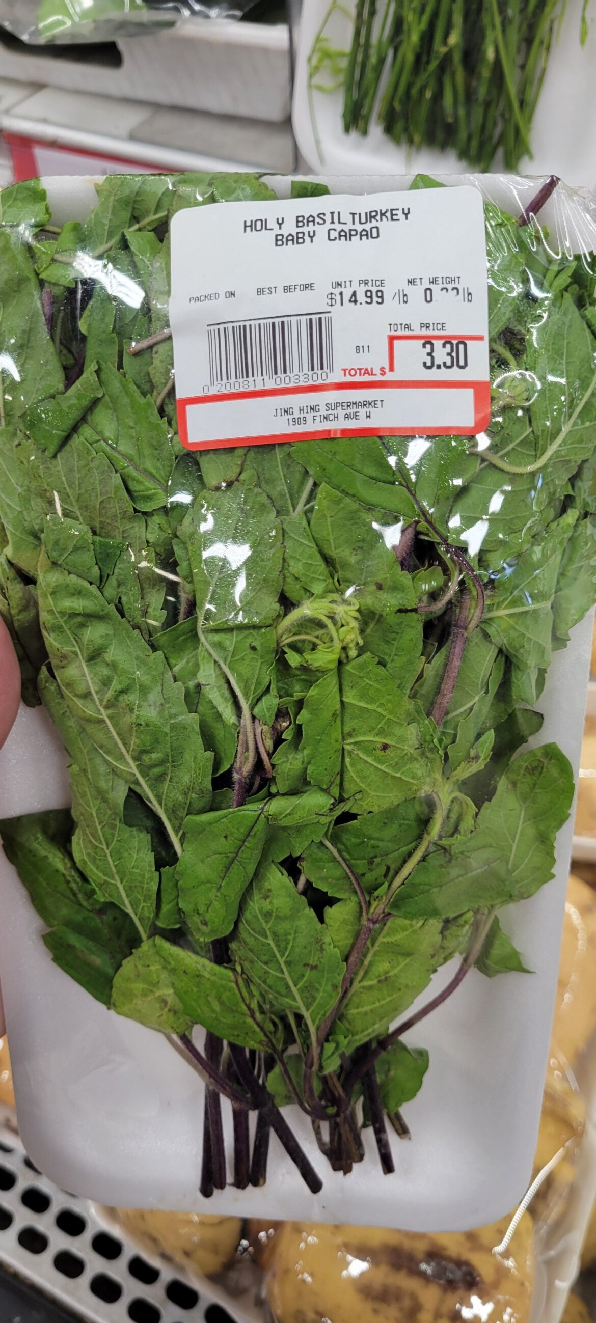 For anyone looking for holy Basil (Tulsi)