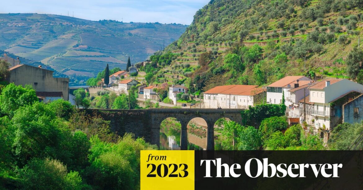 Why Portuguese wines are such good value | Wine