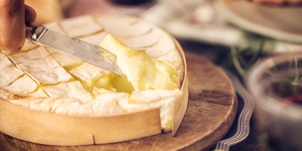 France Told to Eat More Cheese to Save Dairy Industry Amid Coronavirus France Told to Eat More Cheese to Save Dairy Industry Amid Coronavirus