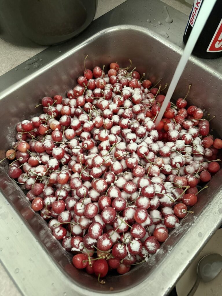 What can I bake with cherries? Tell me YOUR favorites.