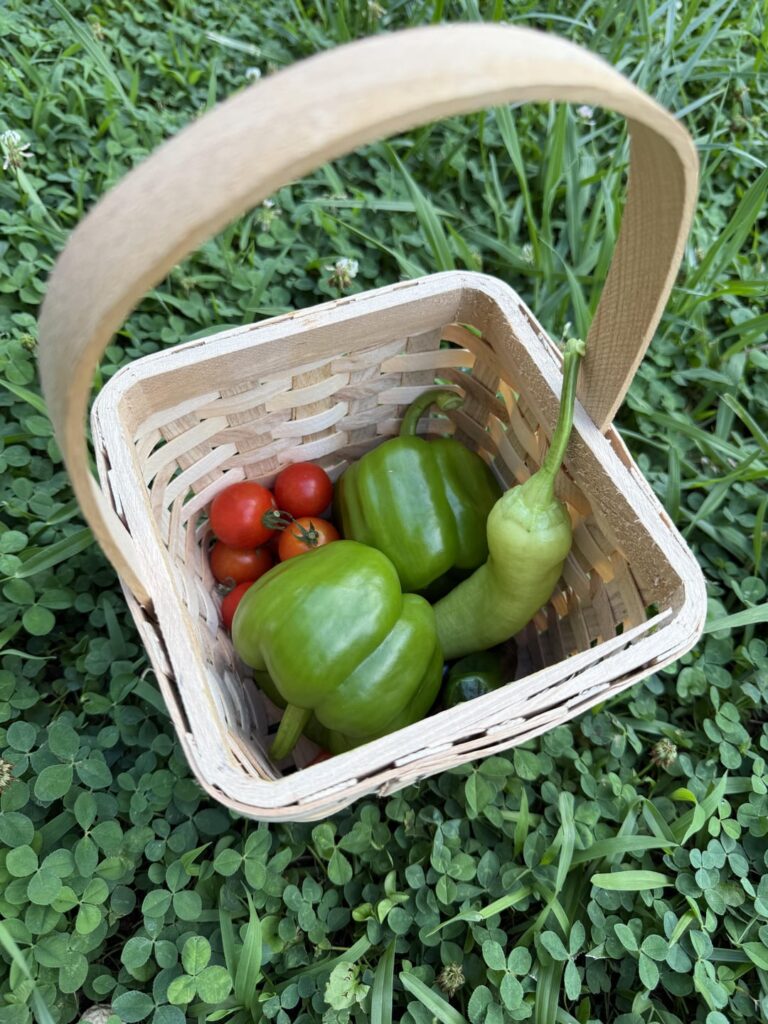 Small harvest from tonight. Love this feeling 🫶🏻