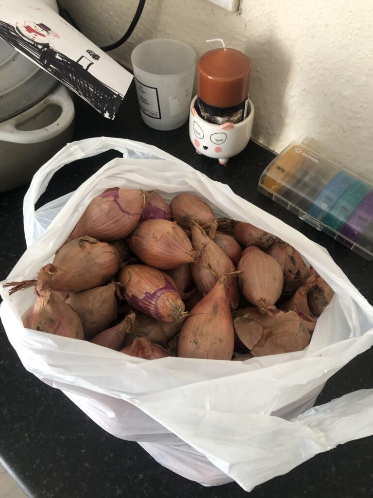 Are shallots allowed here?