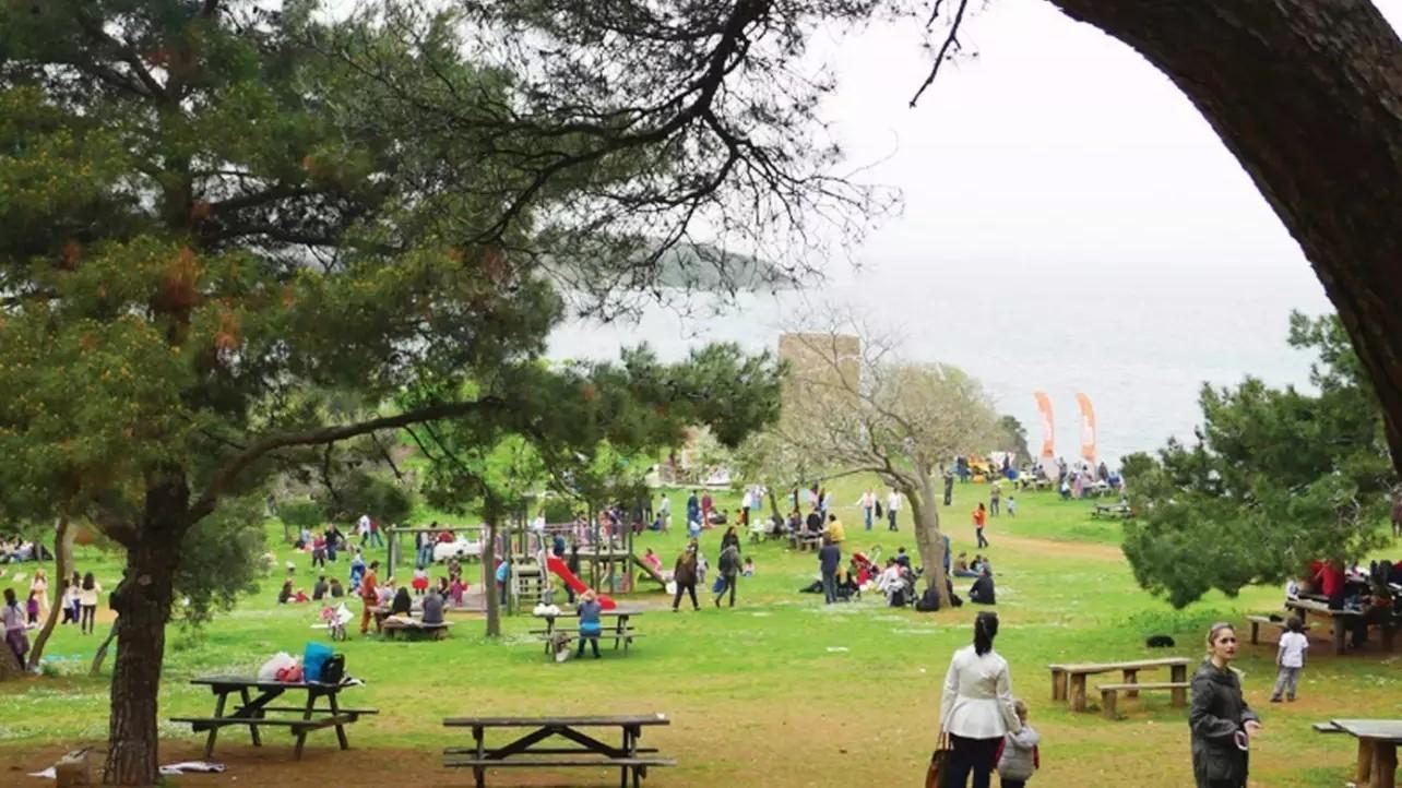 Picnic vibes