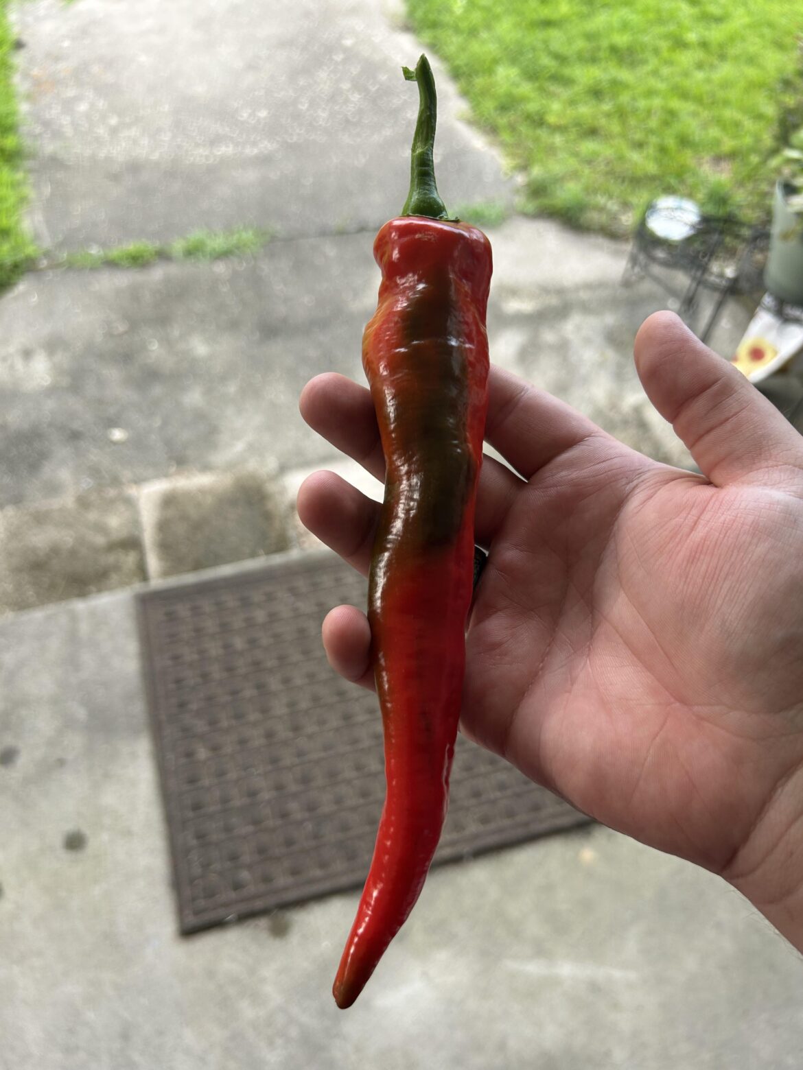 What to do with my peppers