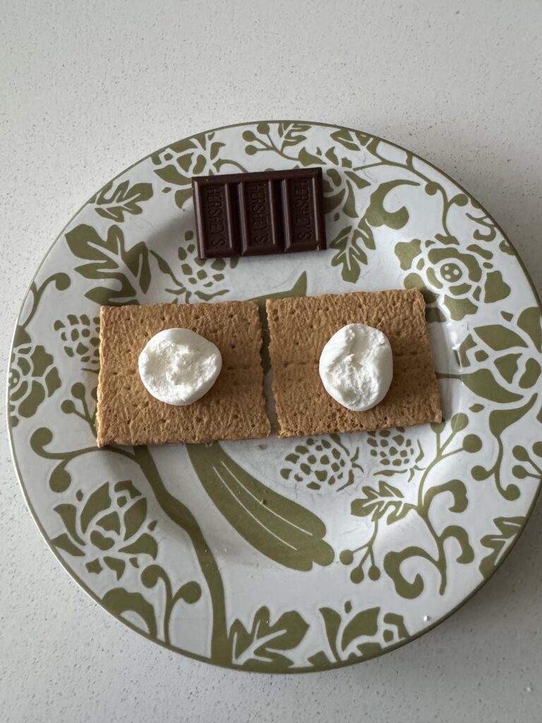 Just Putting It Out That S’Mores are 119 Calories?