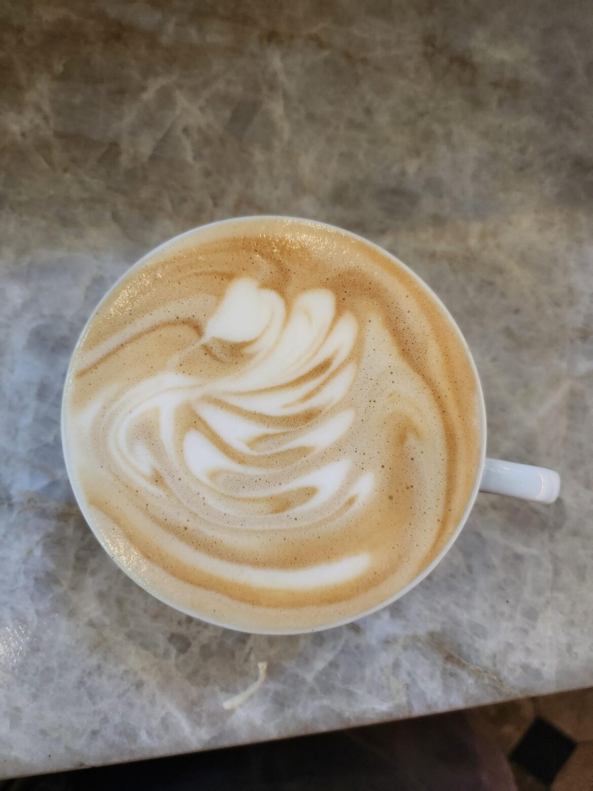 First attempt at a swan