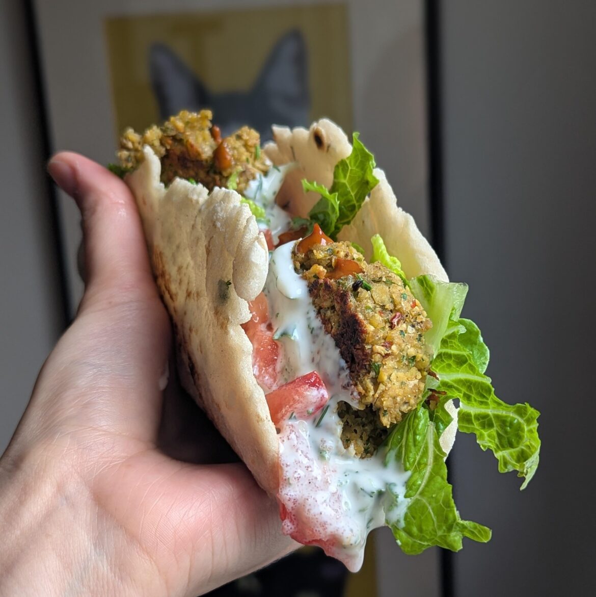 falafel pita with tzatziki.