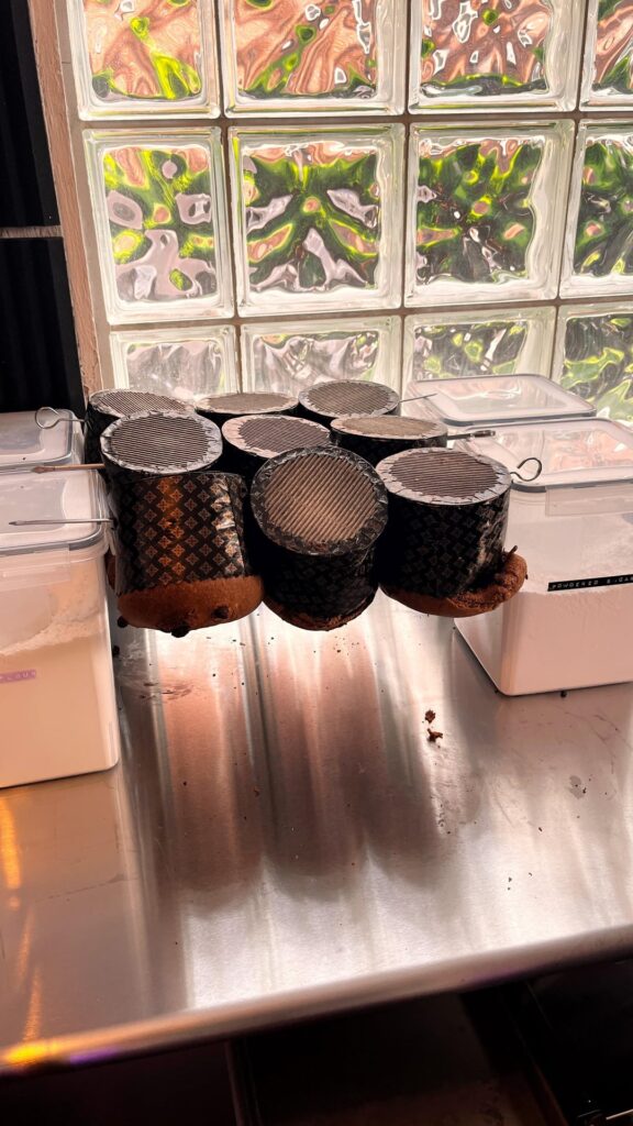 First time making panettone, please pray for me