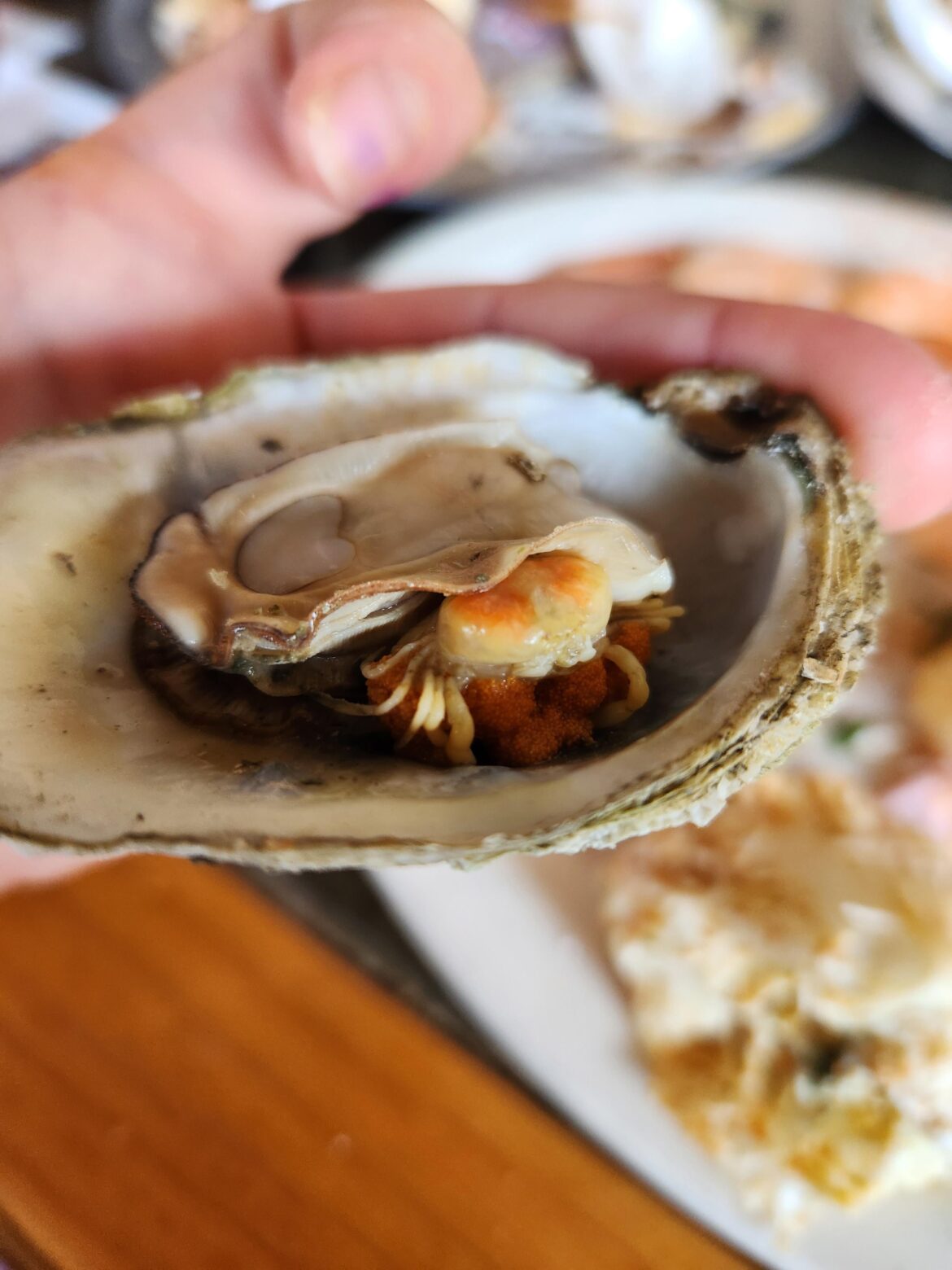First time eating oysters in years and I found this mom clinging to her babies. I couldn't bring myself to eat her.