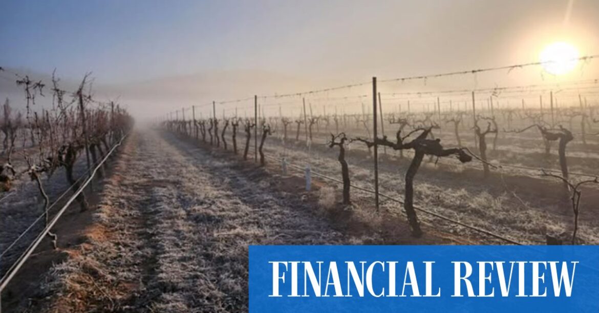 Karadoc Winery closure sums up everything wrong with Australia’s wine industry Karadoc Winery closure sums up everything wrong with Australia’s wine industry