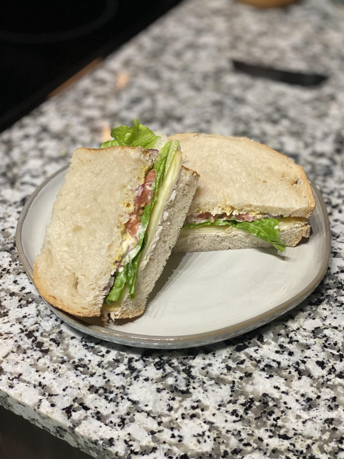 Turkey and Smoked Gruyère from New World Deli