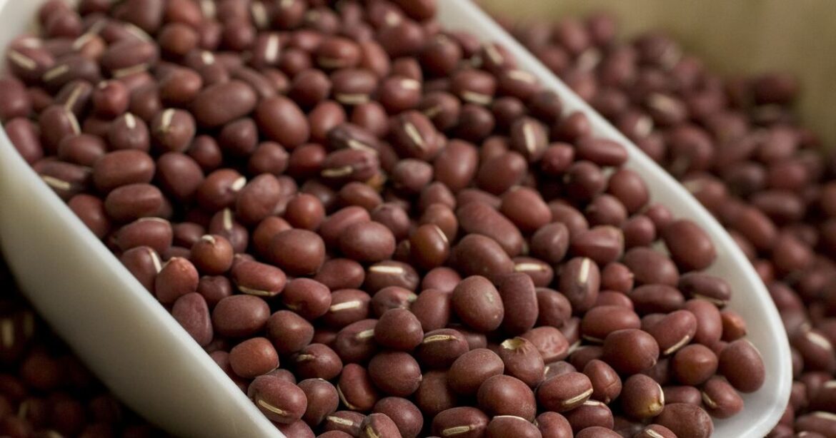 Can you live past 100? Italian longevity expert believes so – Deseret News Can you live past 100? Italian longevity expert believes so – Deseret News