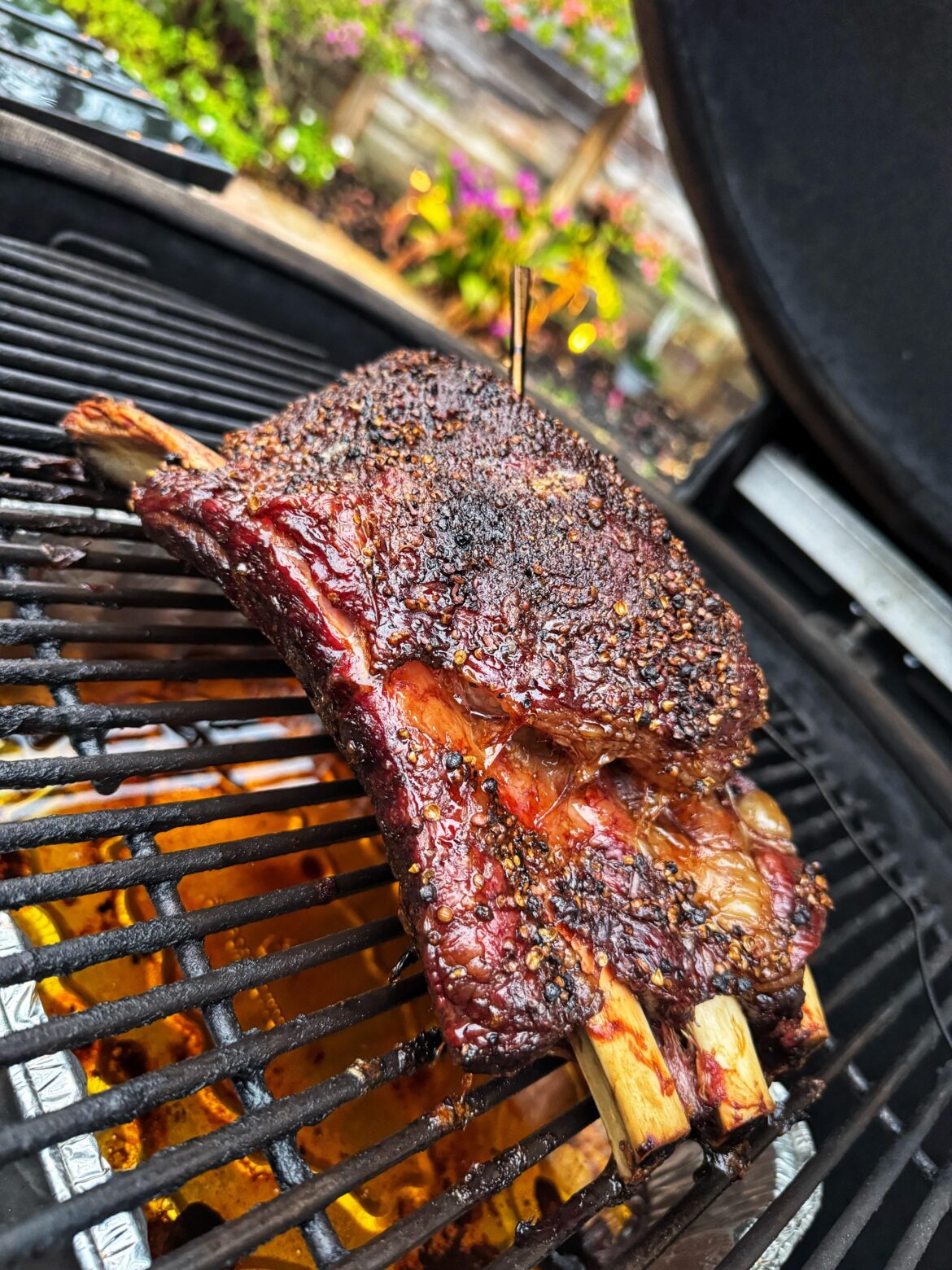 Texas Style Beef Short Ribs on the BJIII!