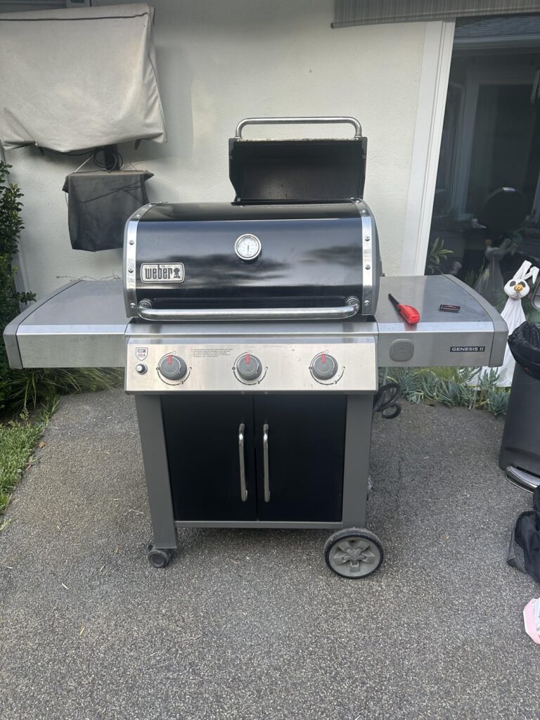 New BBQ isn’t getting hot (enough) New BBQ isn’t getting hot (enough)