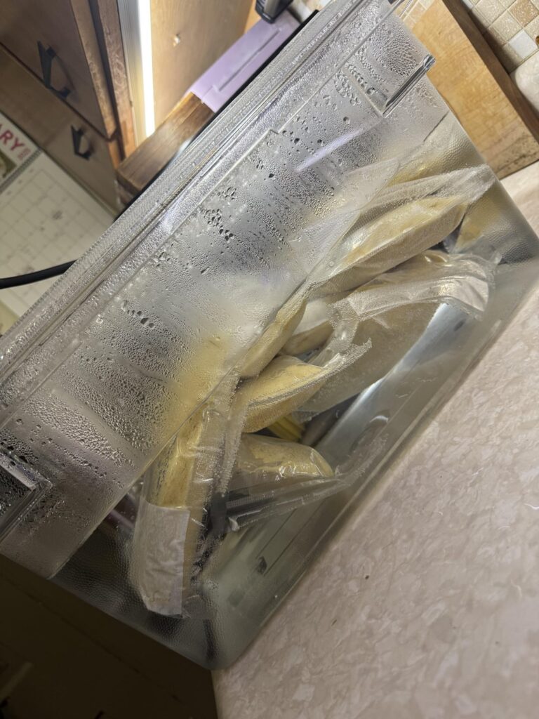 Giving tamales a shot