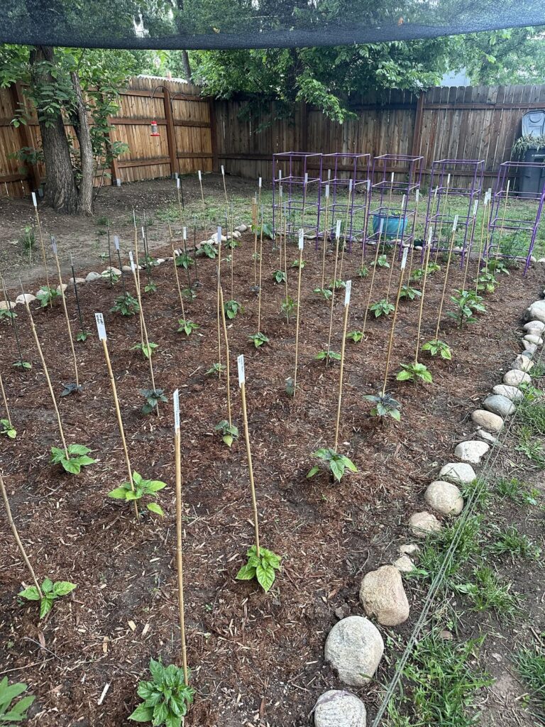 Wrath of the Weather Gods: 64 Super Hots vs 2025 🥴