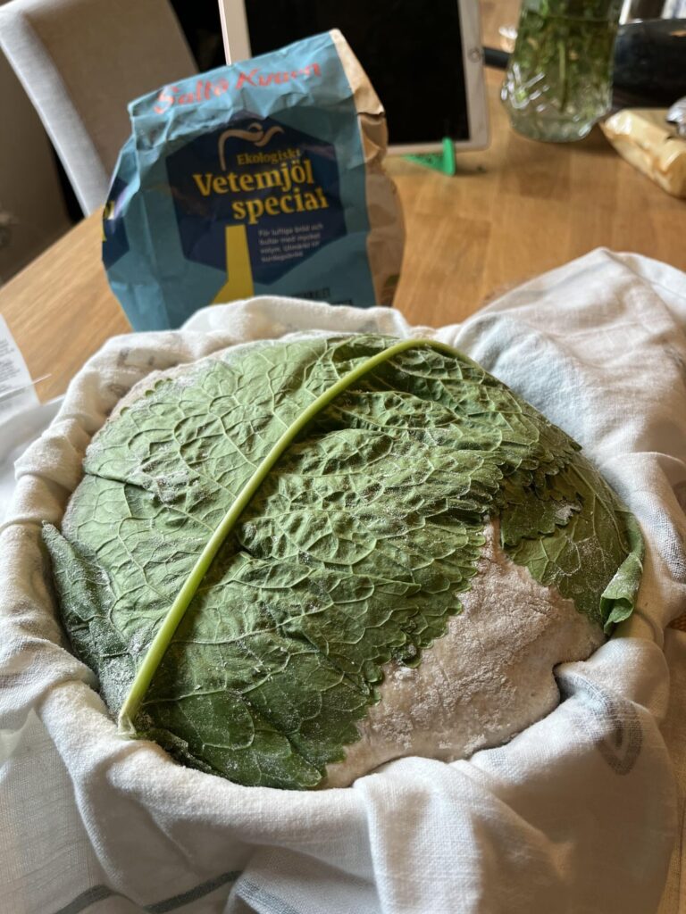 Bread baked on horseradish leaves – a forgotten Polish tradition?