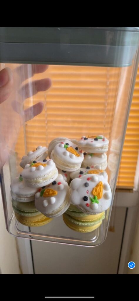 Bunny Macarons 🐰