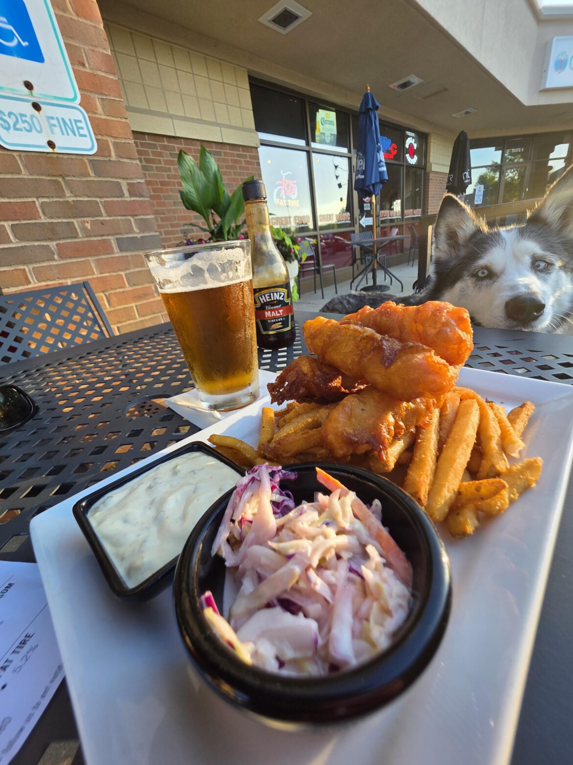 Dog-Freindly Fish Fry