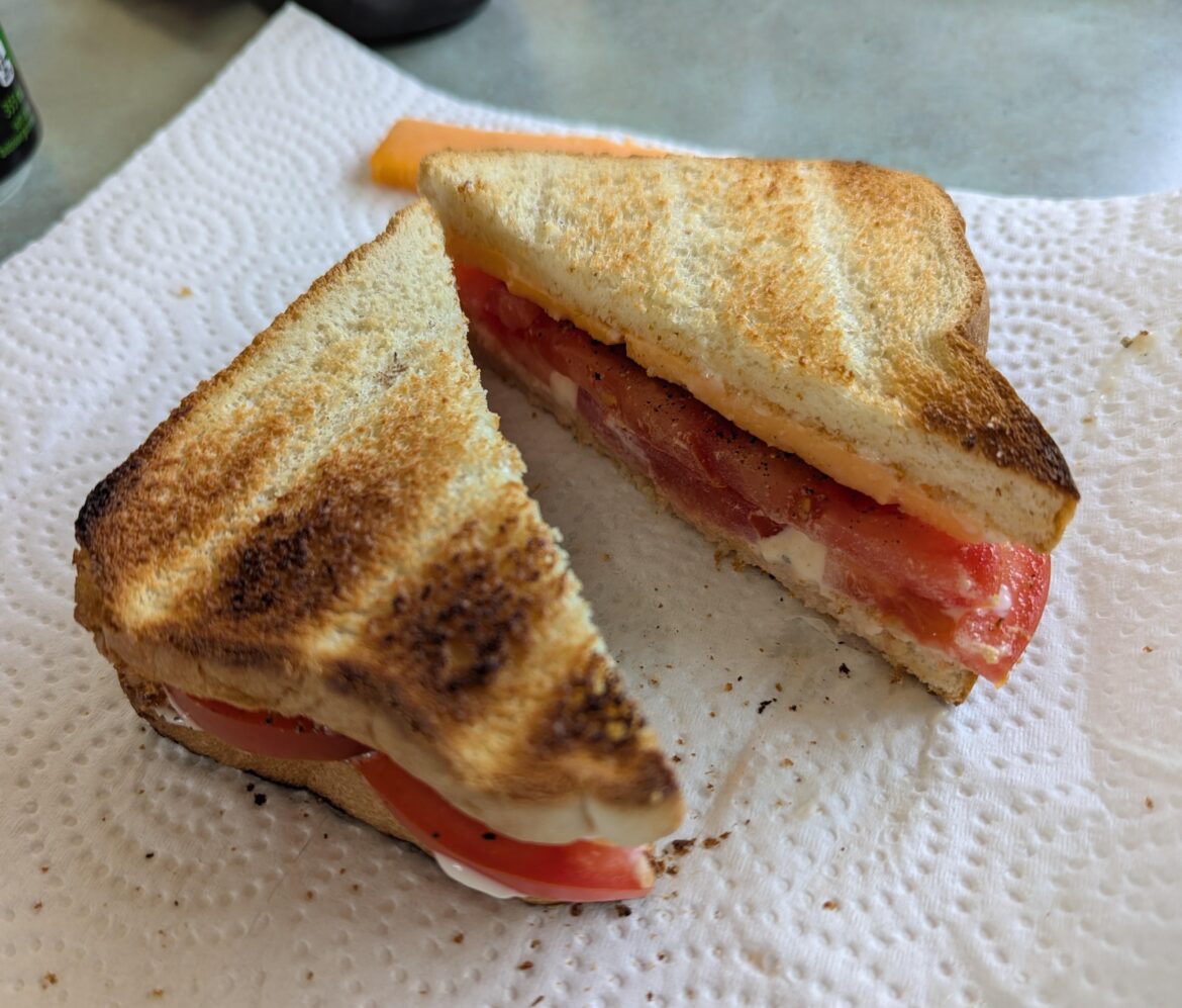 Tomato and aged cheddar on toasted white bread with mayo.