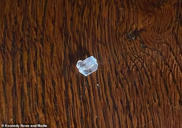 The piece of glass which the restaurant claims the couple planted in their food