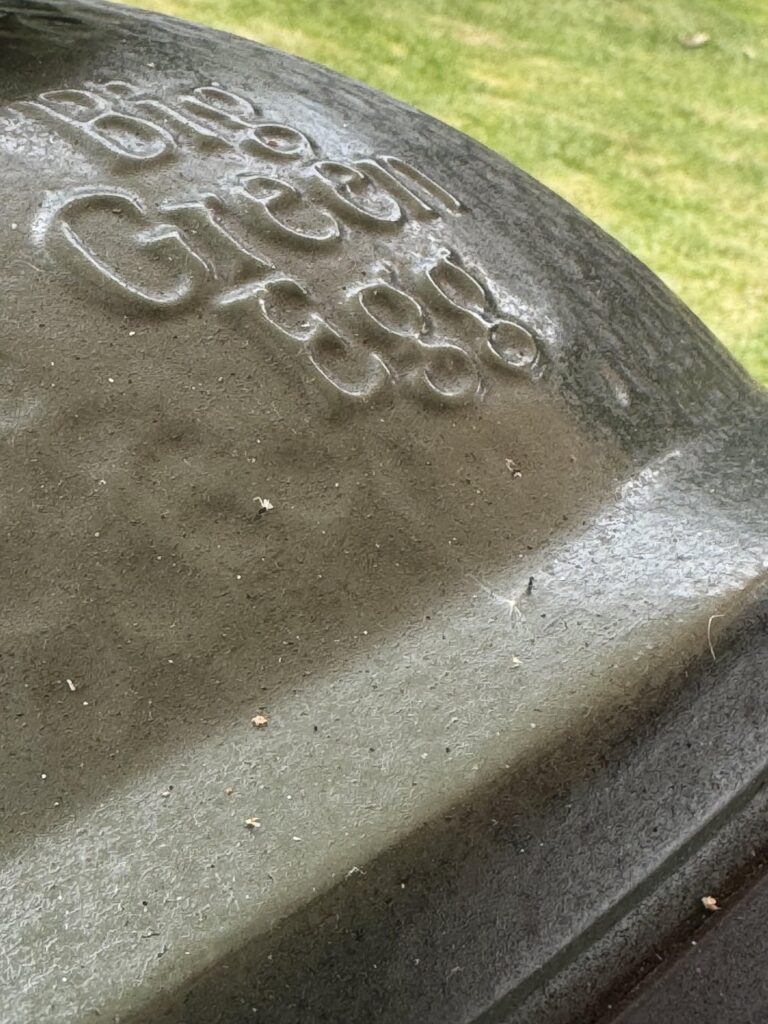 Never cleaned in 10 years