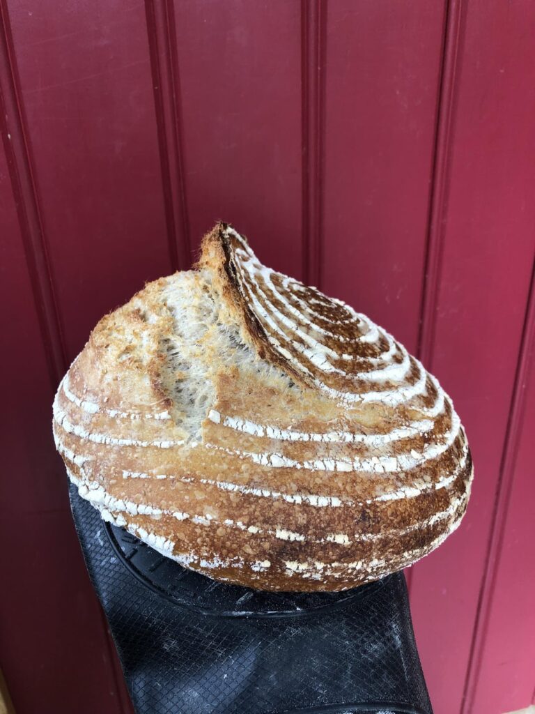 I think I’ve finally got the hang of the whole sourdough thing!