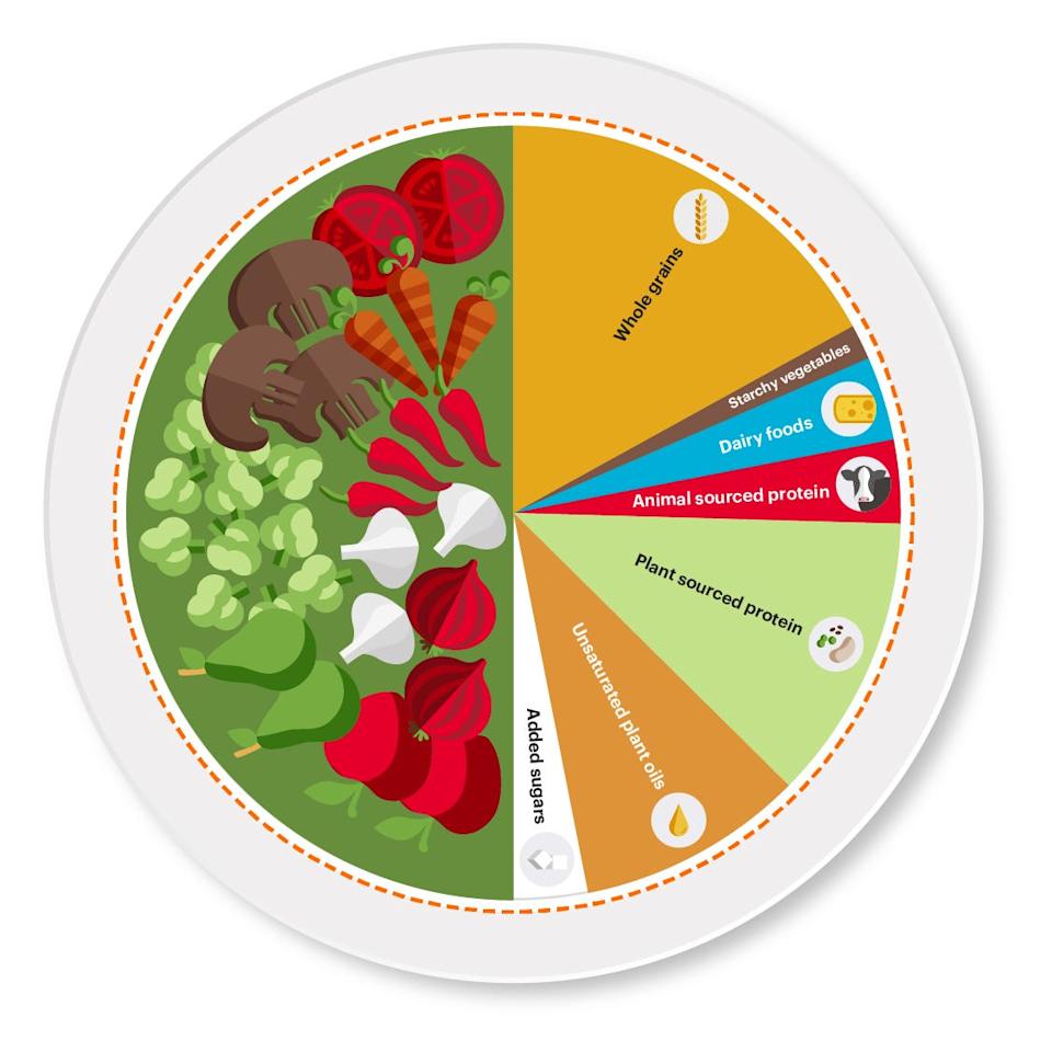 A plate representing how much of each food group one can have on the planetary diet.