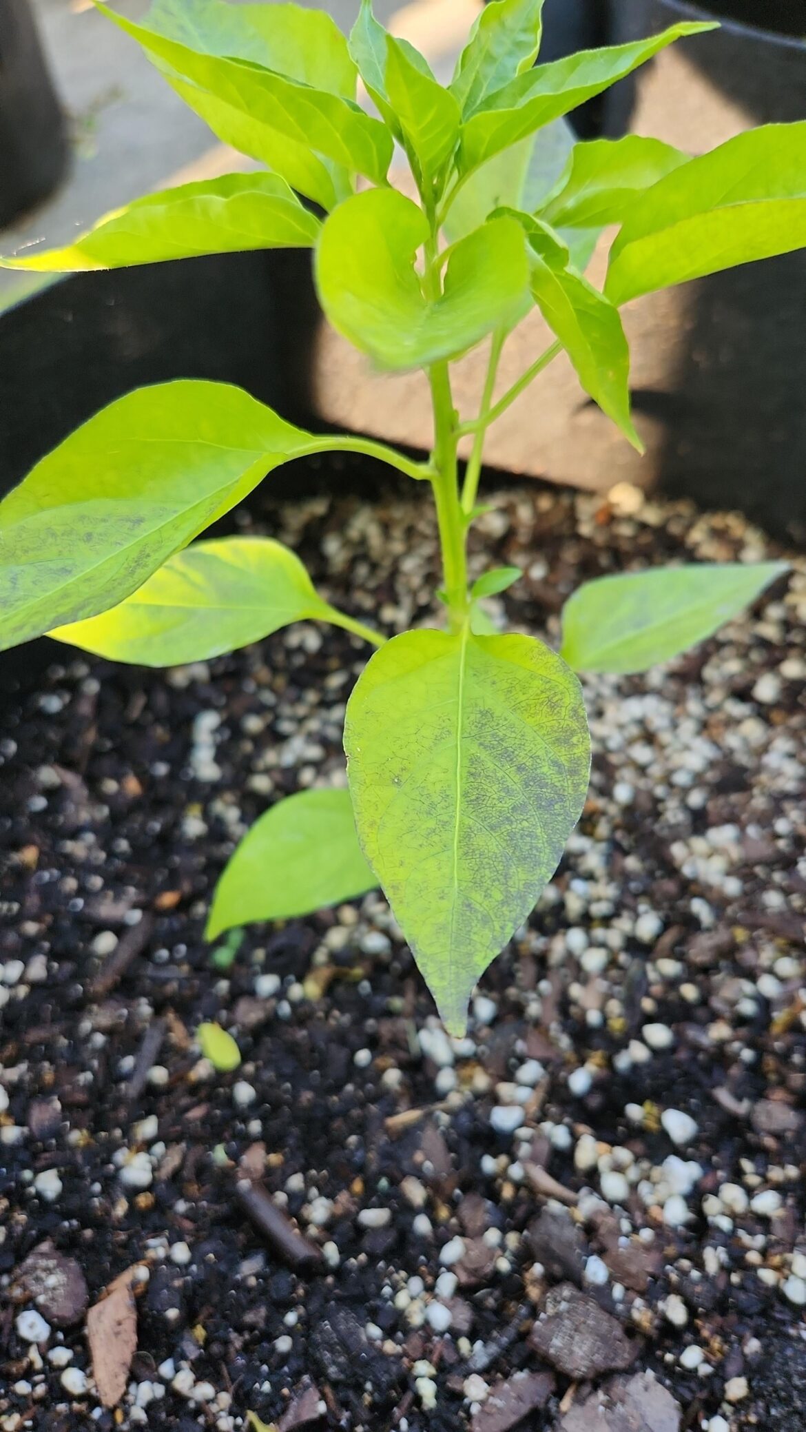 Should I be concerned?