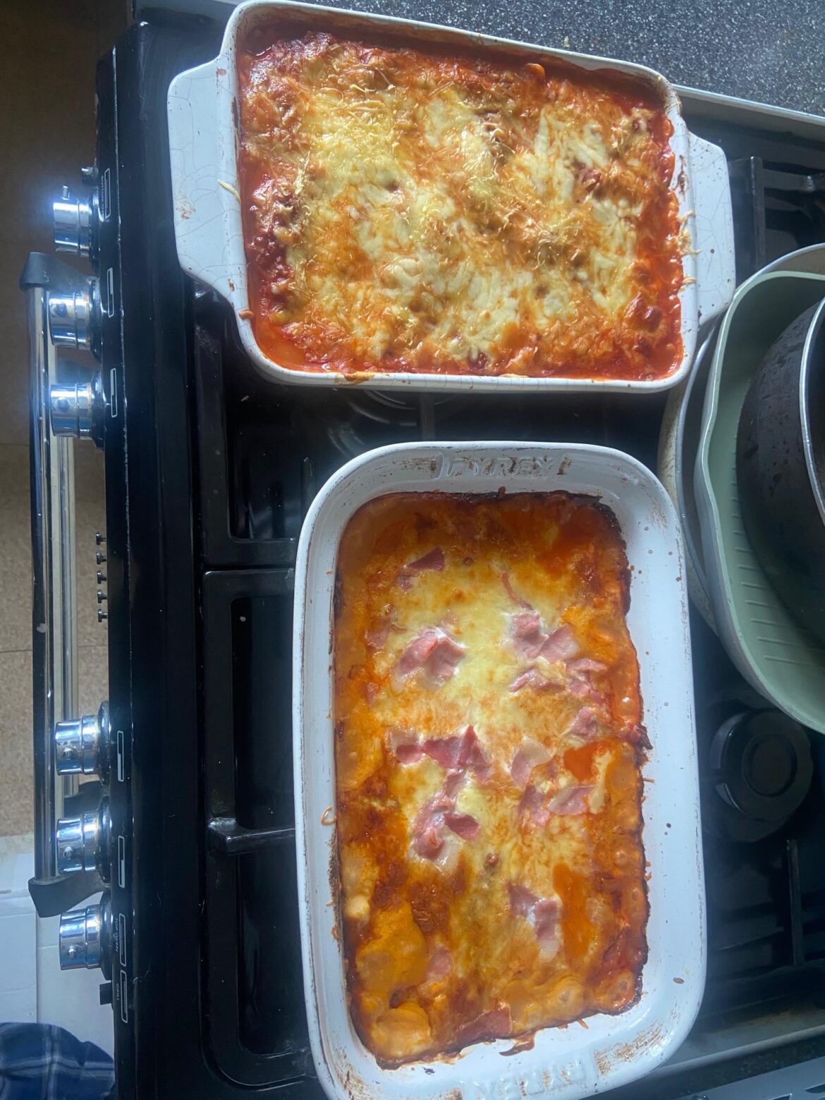 One vegan and one meat based lasagne