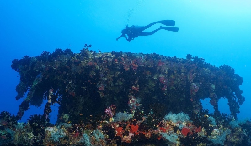Kanifushi Diving