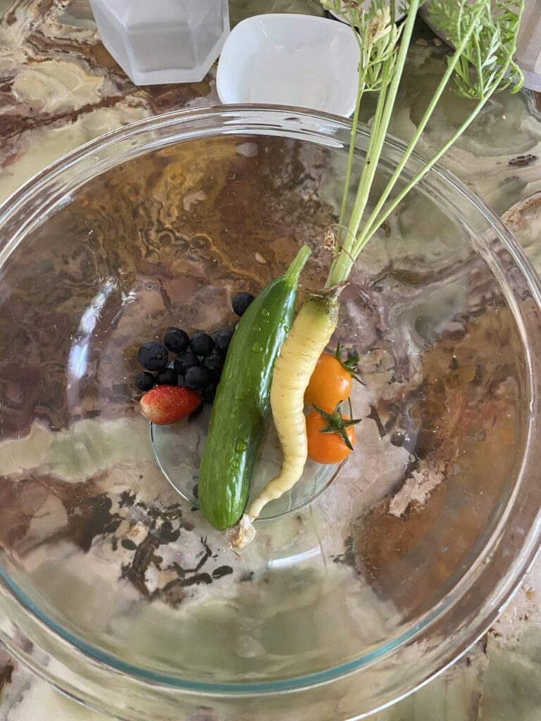 My first (tiny) harvest!