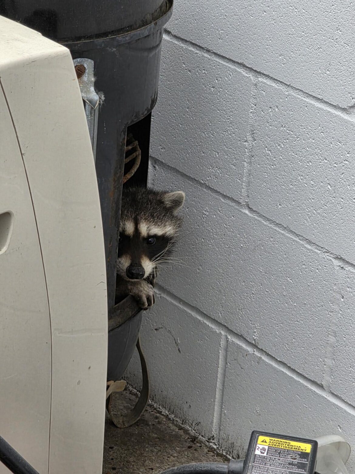 Guess I wont' be using this smoker for a while (spare WSM I keep at the office to sometimes use there).