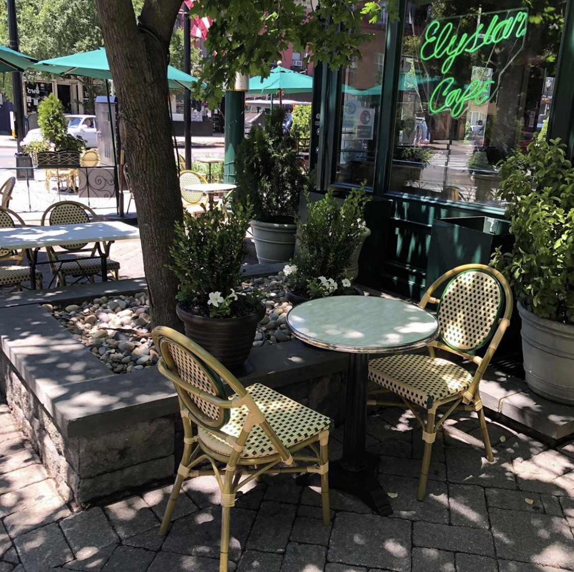 elysian cafe