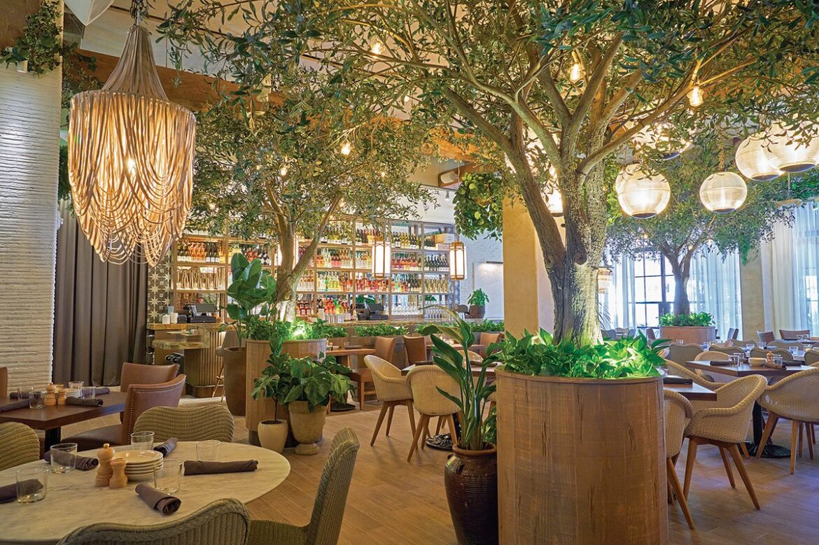 Musings On The Mediterranean - bocaratonobserver.com