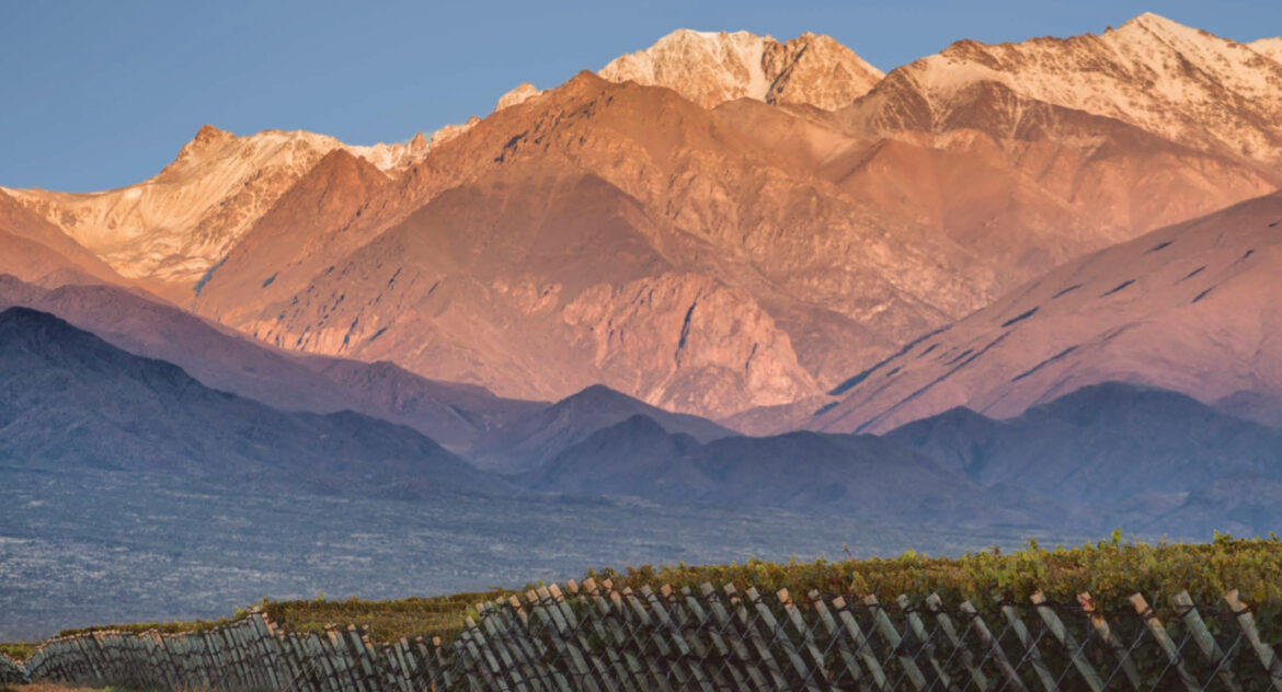 More untapped potential from Argentina you can’t afford to miss More untapped potential from Argentina you can't afford to miss