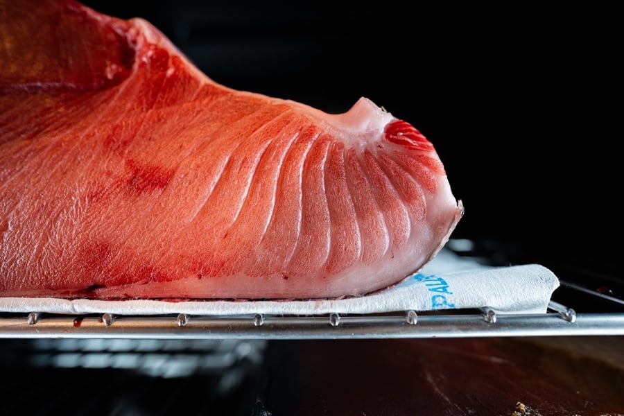 a big slice of fish