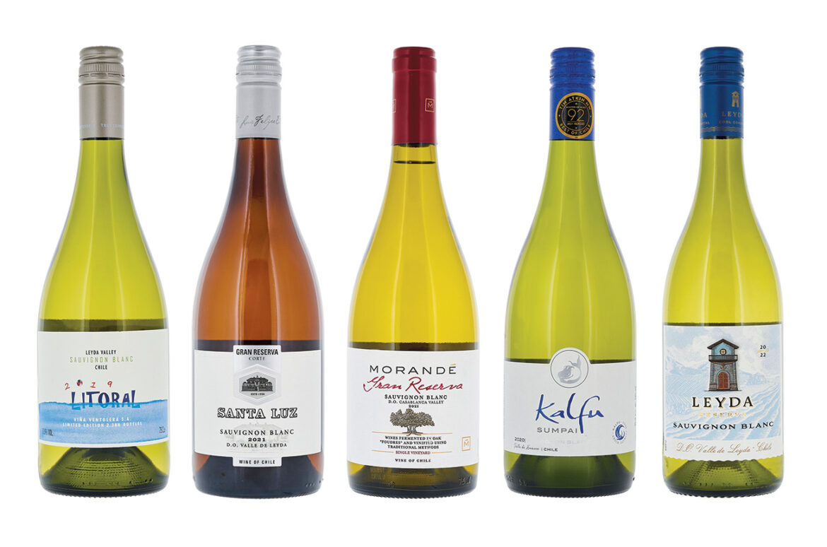 Chilean Sauvignon Blanc £10-£30: Panel tasting results