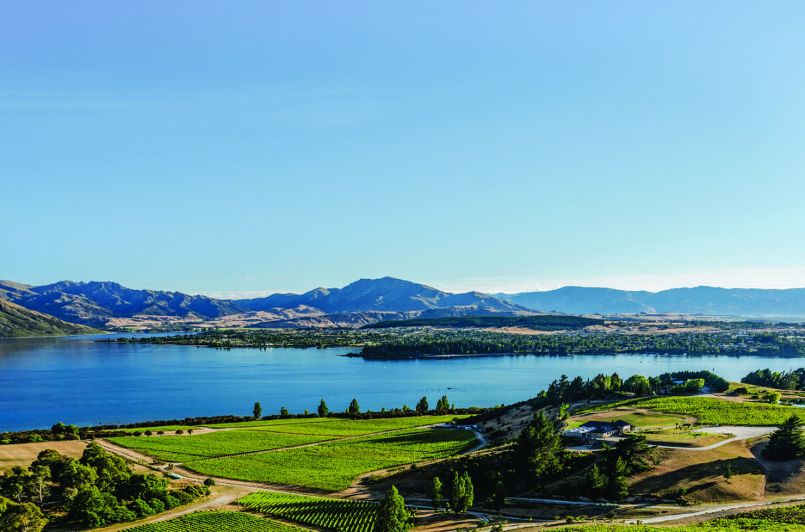 New Zealand Pinot Noir: Vintage report and 40 new releases rated