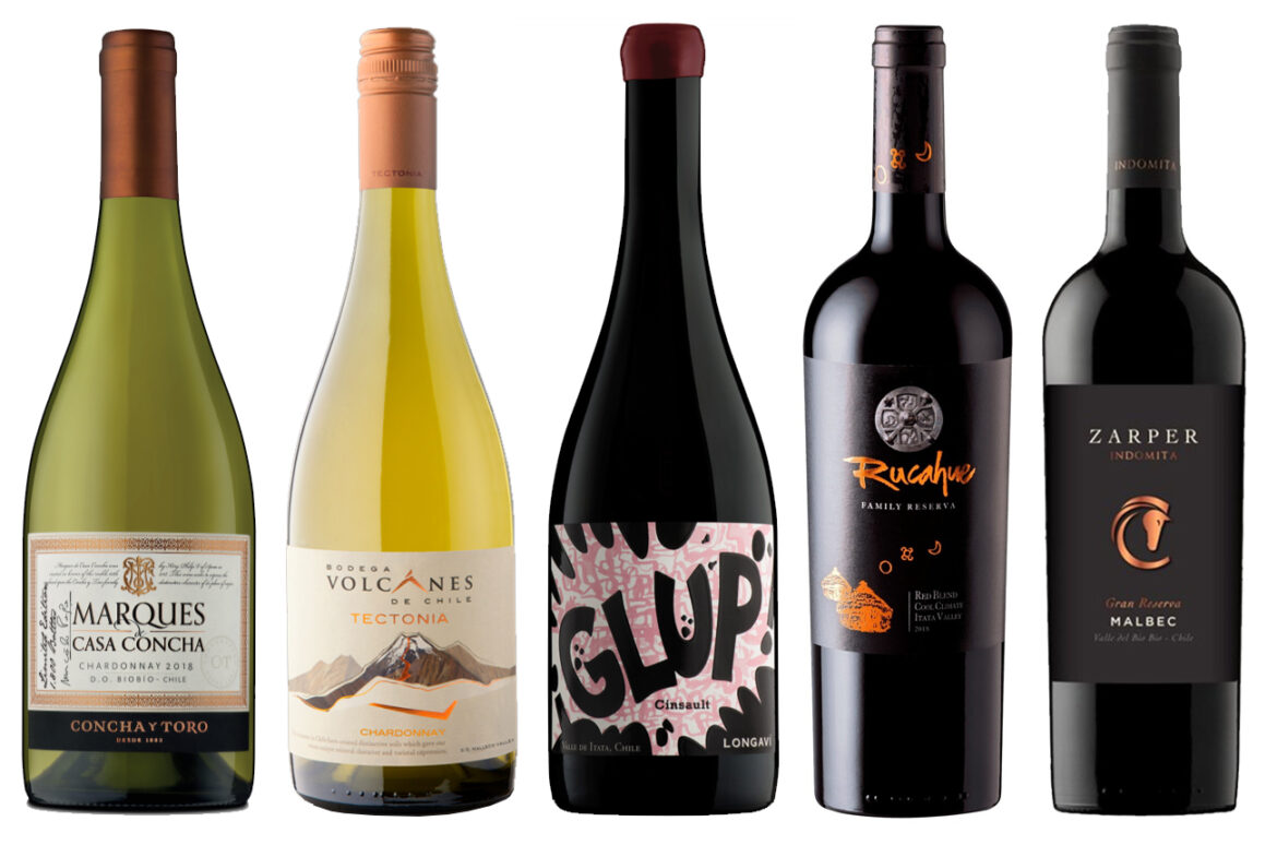 Chile: 15 award-winning wines from the south Chile: 15 award-winning wines from the south