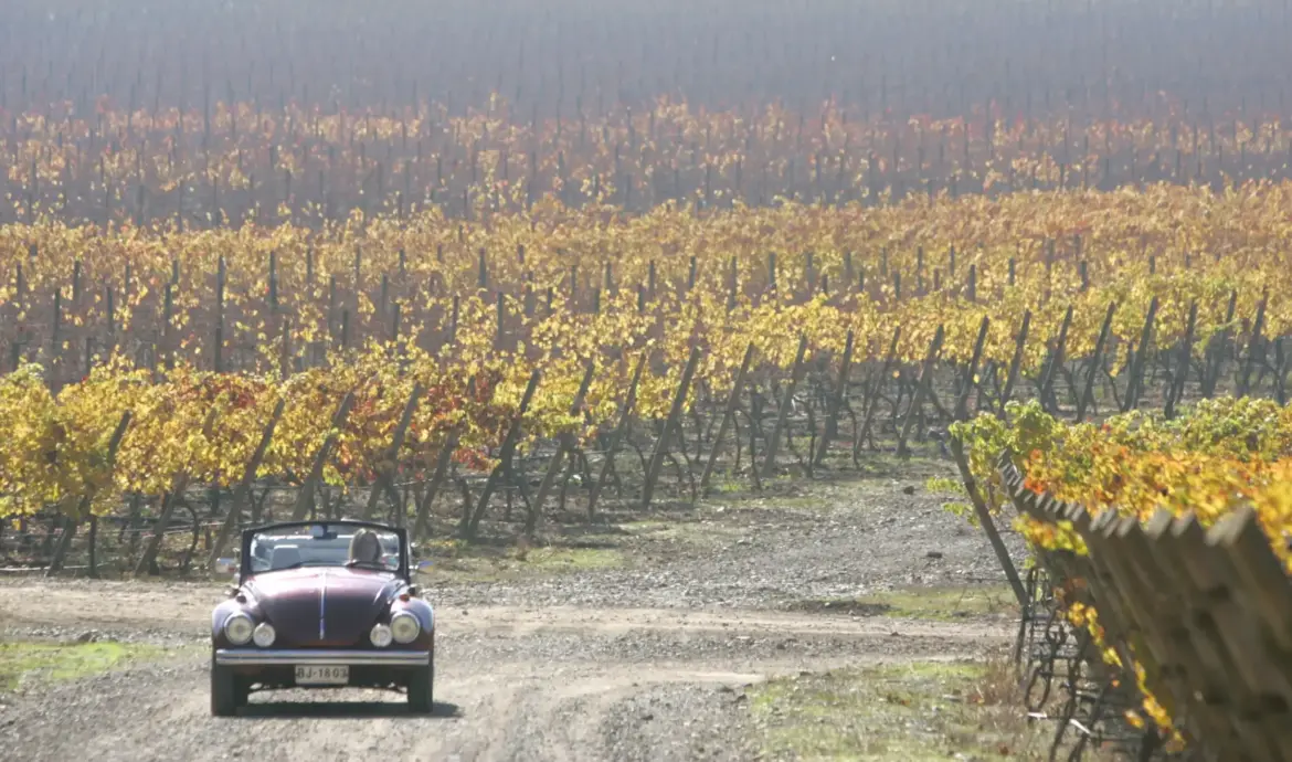 Chile 2025 Oenotourism Awards | Marca Chile enotourism 2025 awards