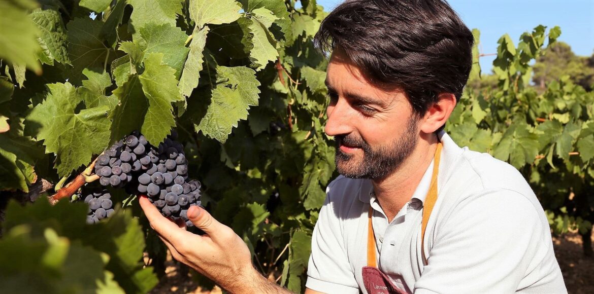 Artisan d’Occitanie: when vinegar reaches excellence Artisan d'Occitanie: when vinegar reaches excellence