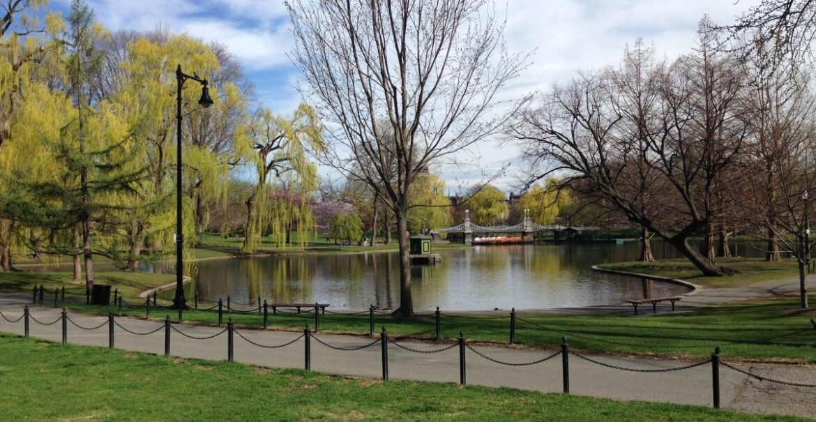 Where to Go on a Picnic in Boston, and What to Eat