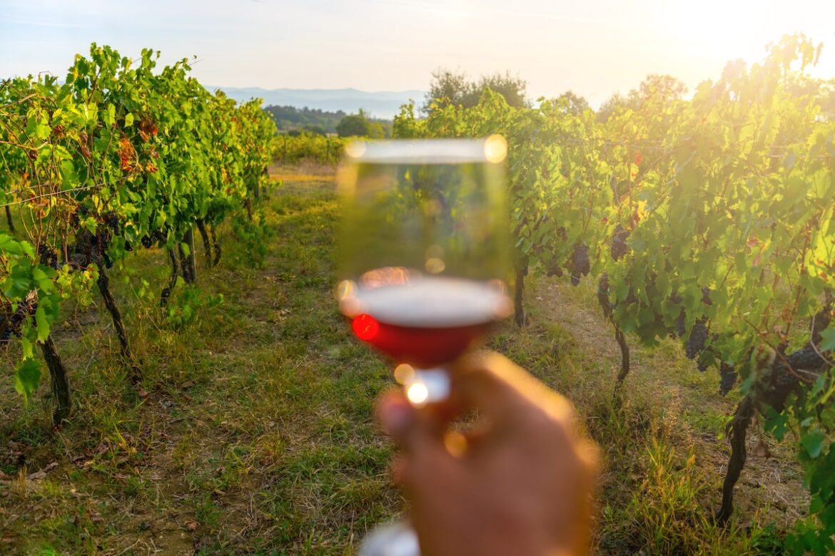 Eight wines to enjoy in June, from $13-$100