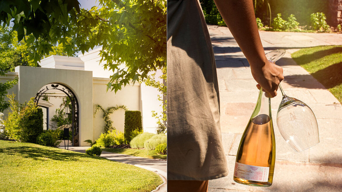 A Wine-Lovers Guide to Mendoza, Argentina