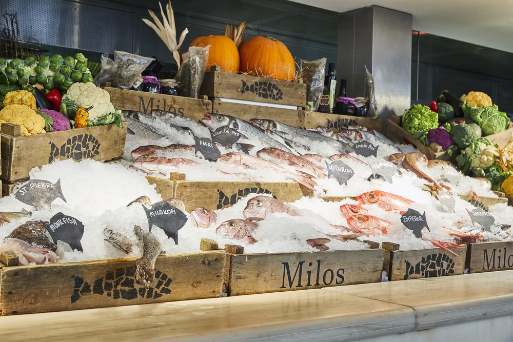 fish in ice at Estiatorio Milos