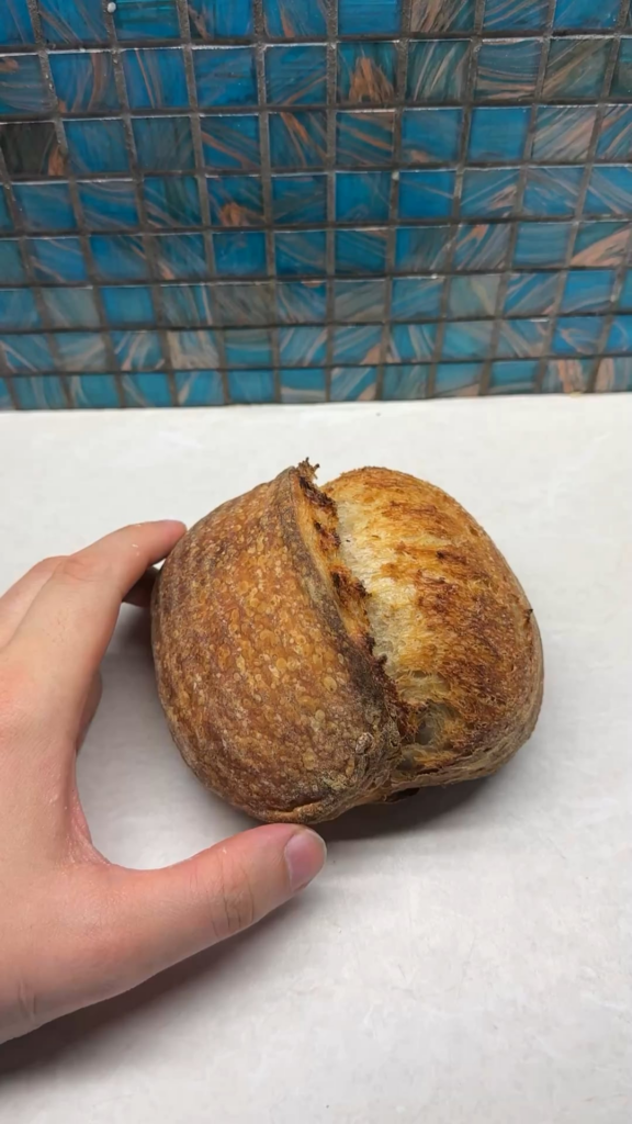 Sourdough journey day 3 Sourdough journey day 3