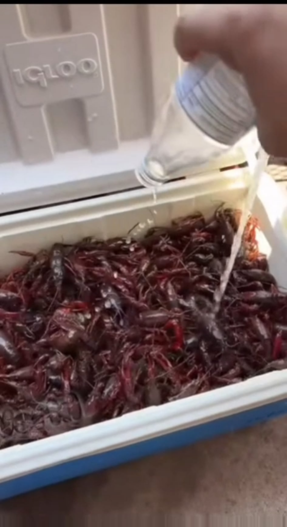 It just gets worse and worse