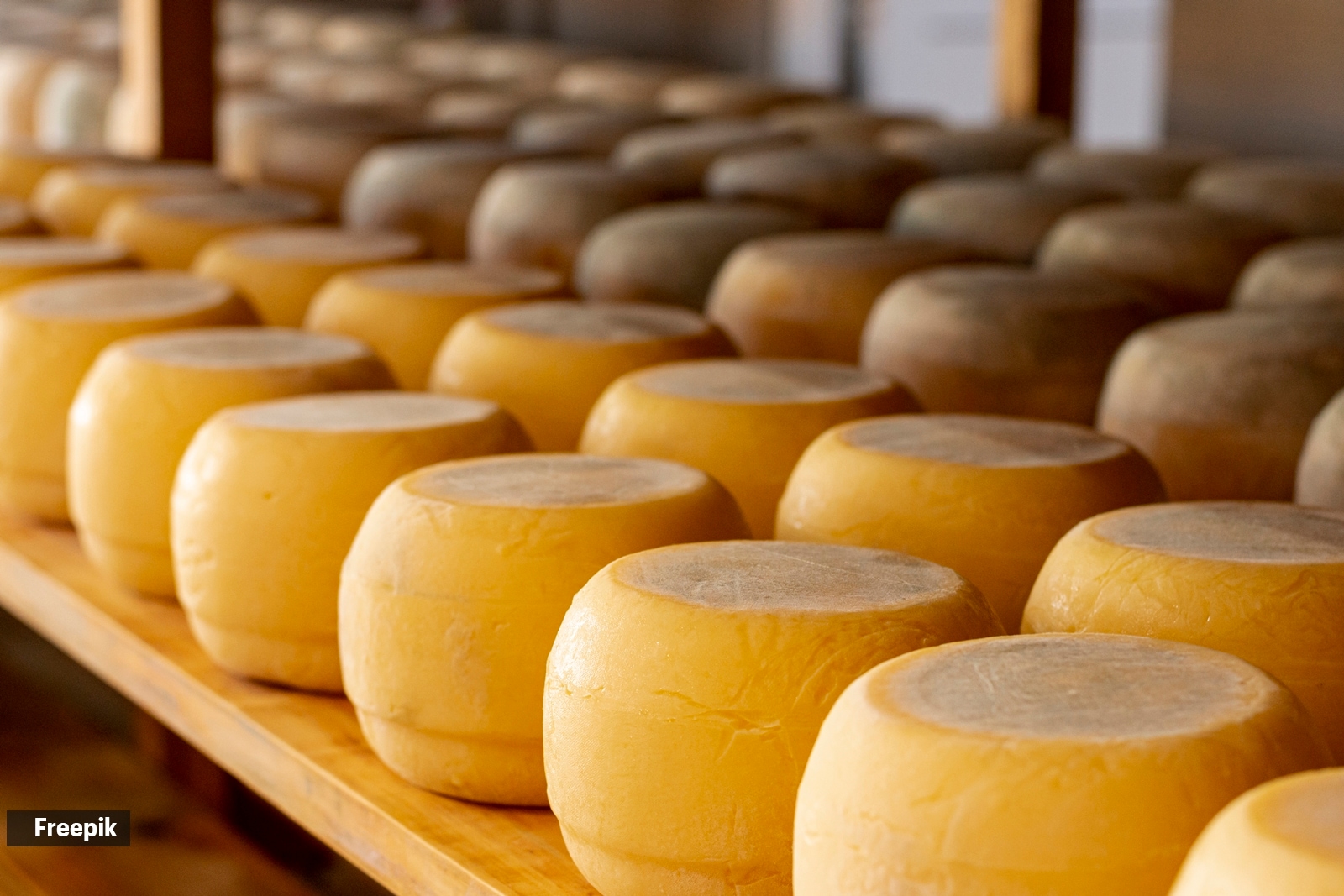 parmesan, types of cheese, parmesan cheese