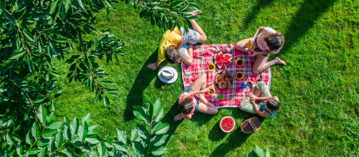 Everything you need to know for the perfect picnic in Milano Everything you need to know for the perfect picnic in Milano